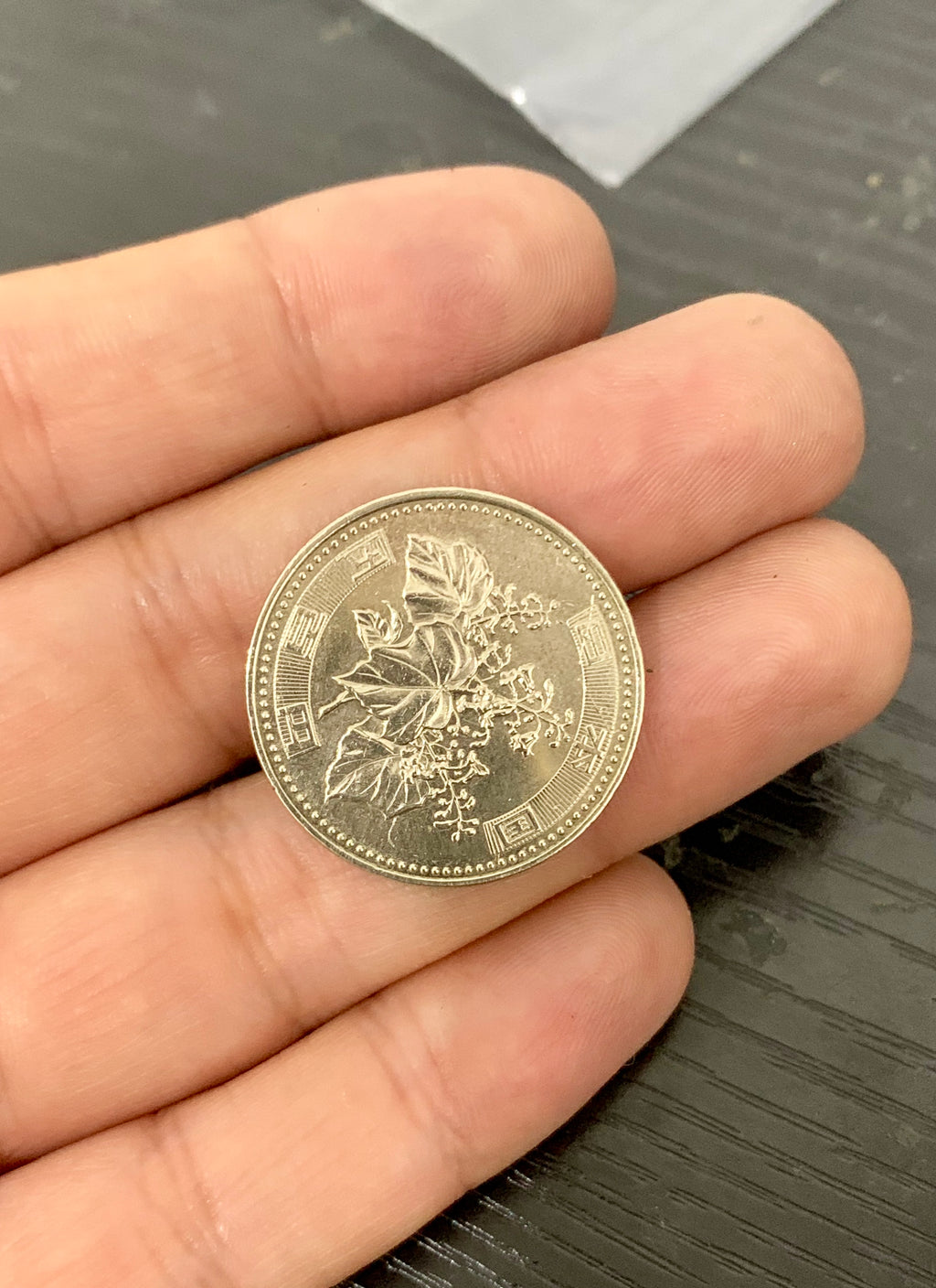 Flipper Coin Trick - Japanese 500 Yen Coin