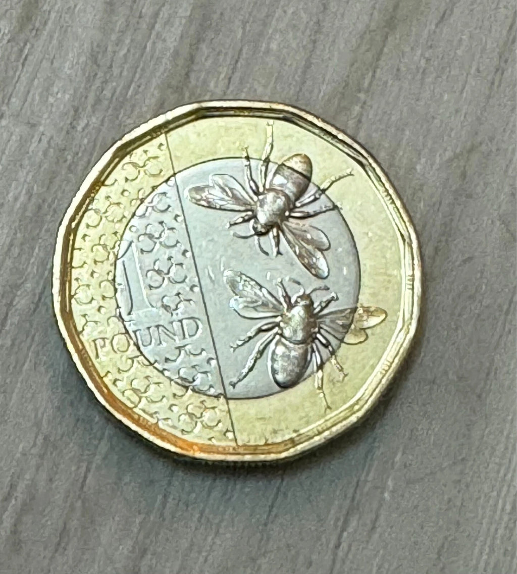 Double Sided Coin £1 King Charles Version