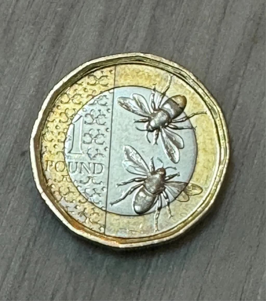 Double Sided Coin £1 King Charles Version