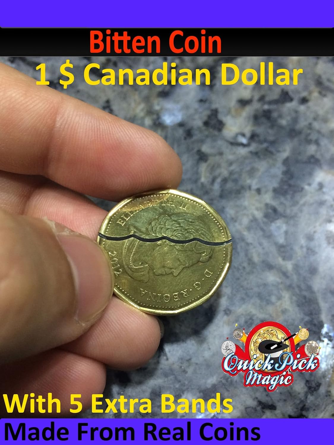 Bitten and Restored Canadian Dollar LOONIE Coin