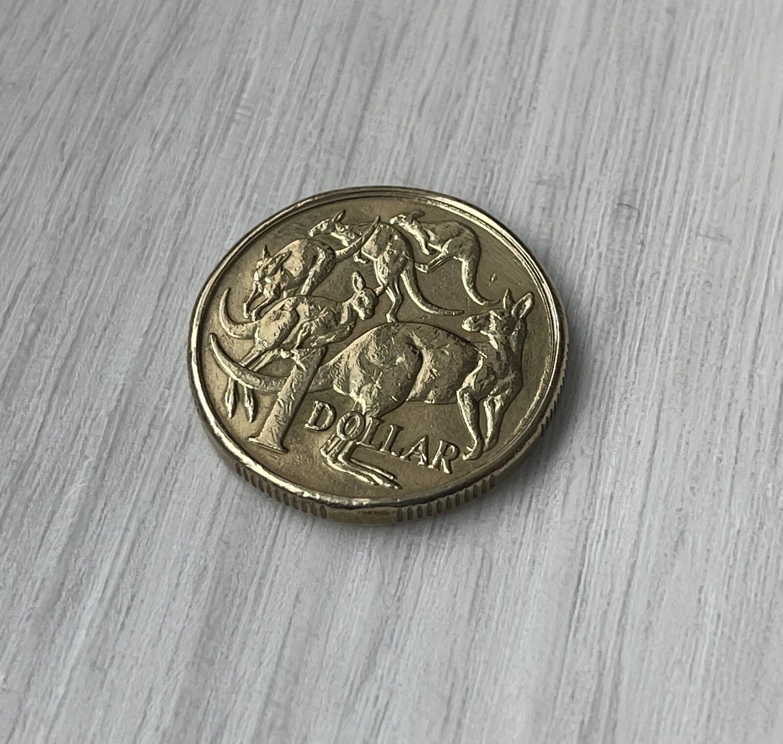 Double Sided Coin - Australian Dollar - $1 Heads on both sides - $1 Tails on both sides.