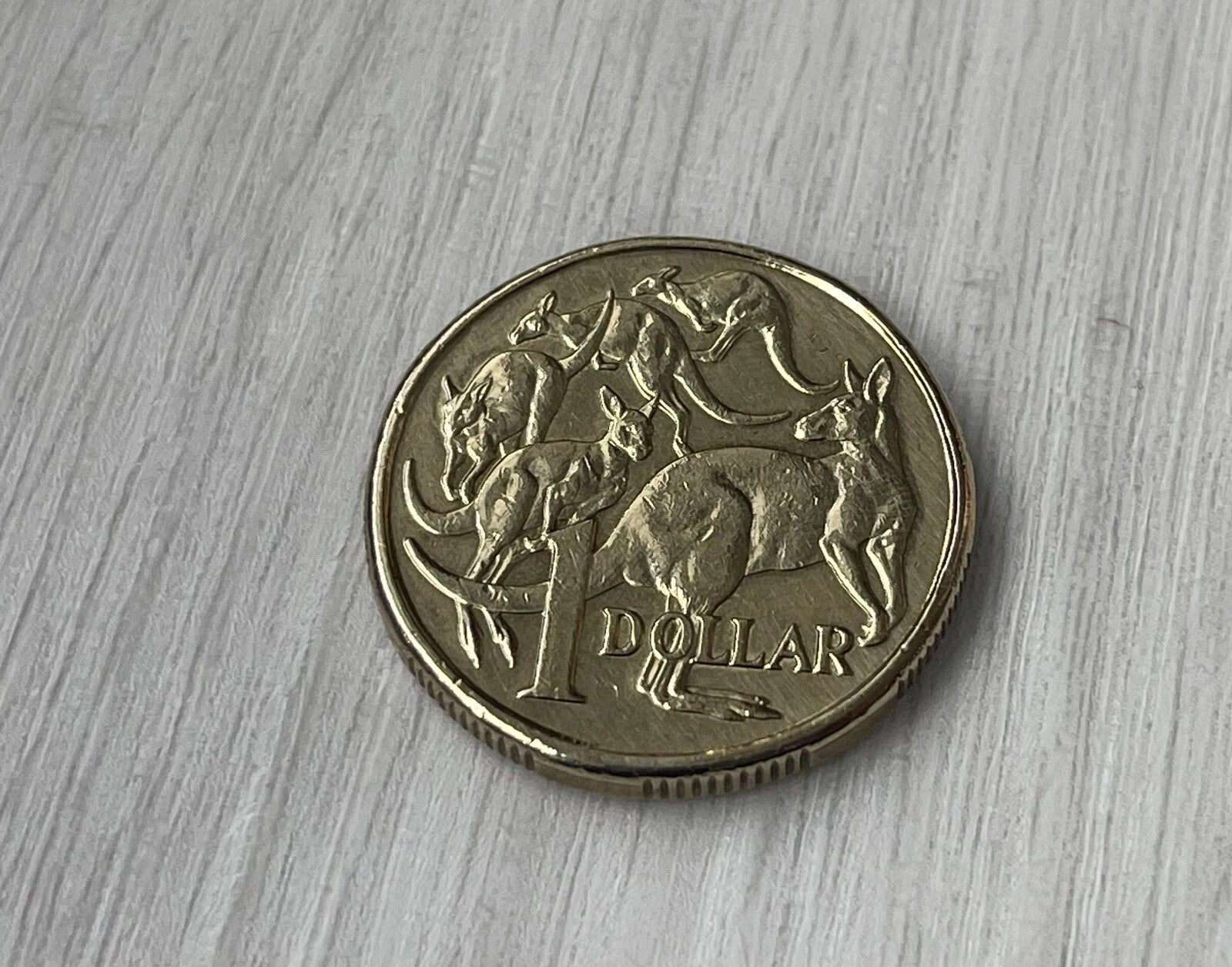 Double Sided Coin - Australian Dollar - $1 Heads on both sides - $1 Tails on both sides.