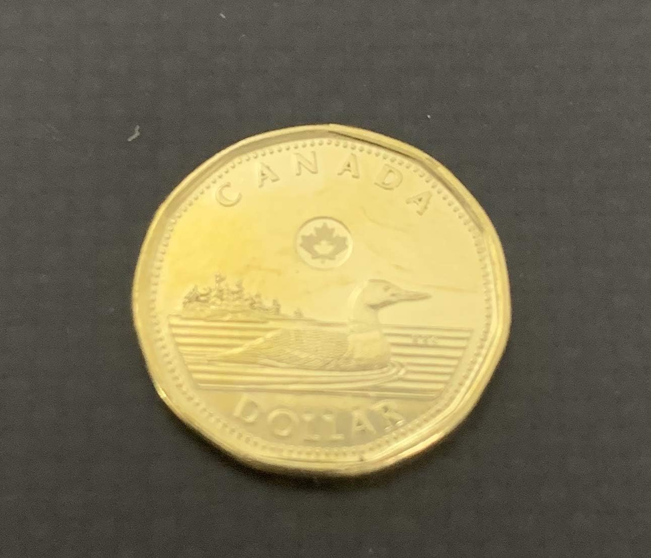 Double Sided Canadian Dollar Coin - Same Sided Loonie Heads  Tails