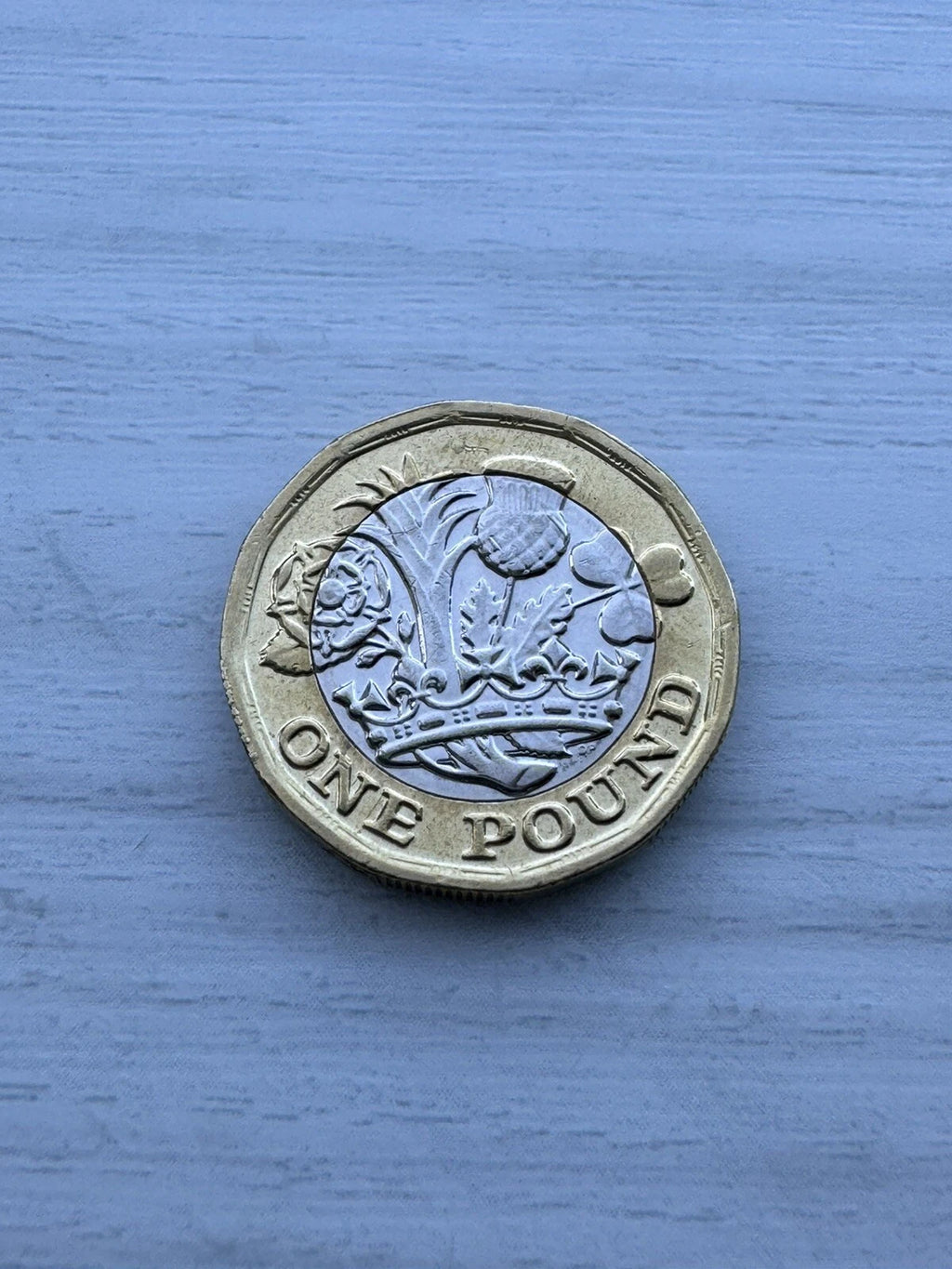 Double Sided Coin New 12 Sided One Pound Coin £1 Double Heads Double Tail Coin