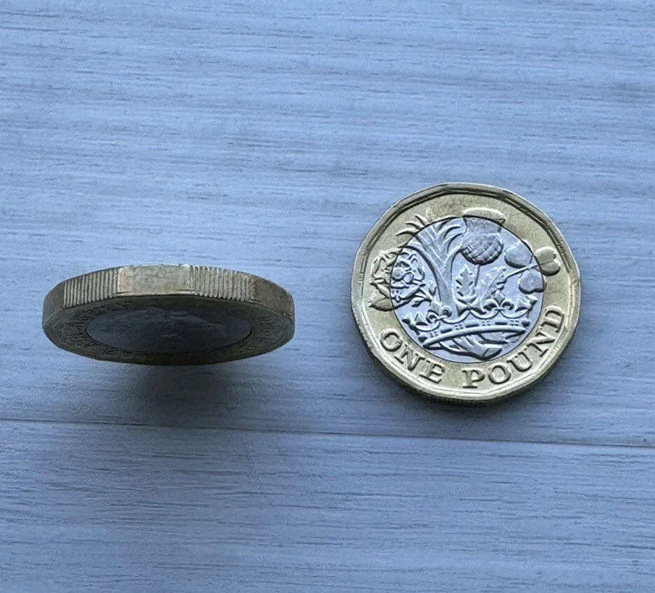 Double Sided Coin New 12 Sided One Pound Coin £1 Double Heads Double Tail Coin