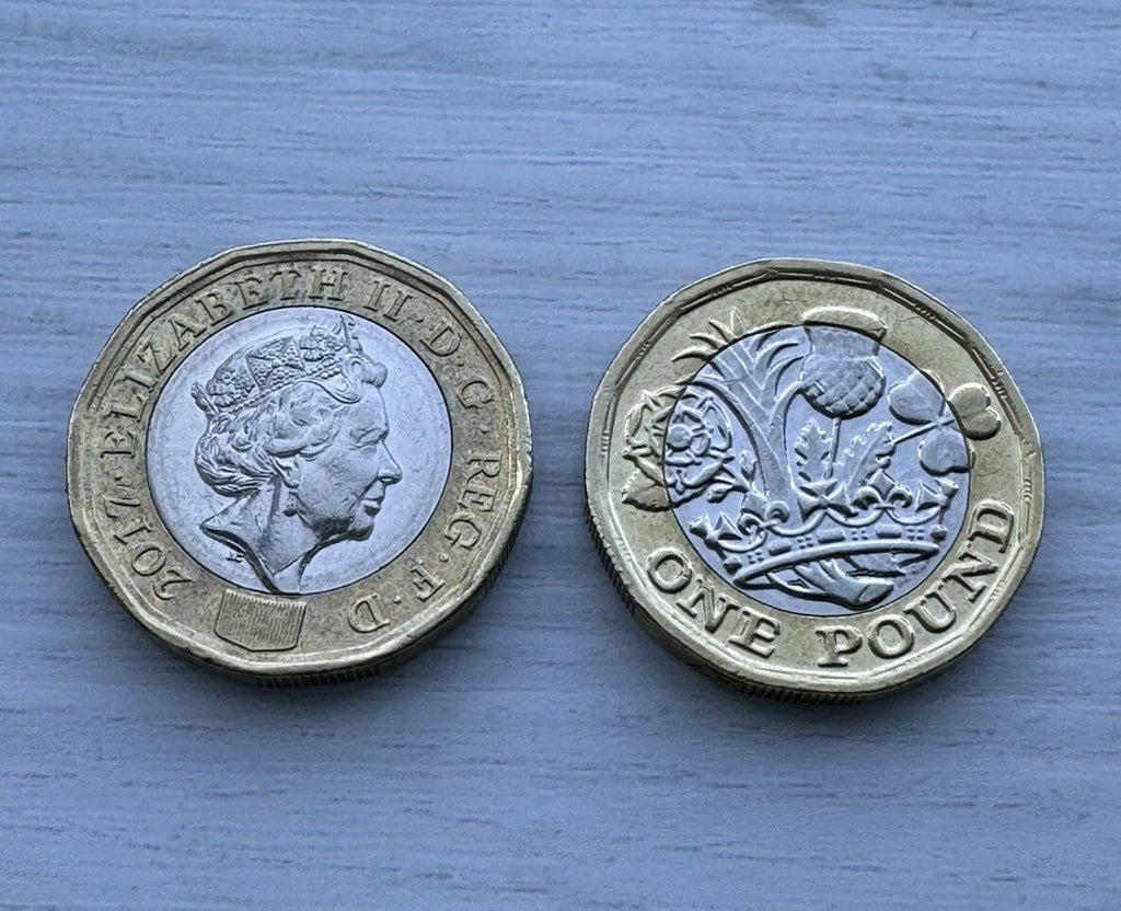 Double Sided Coin New 12 Sided One Pound Coin £1 Double Heads Double Tail Coin